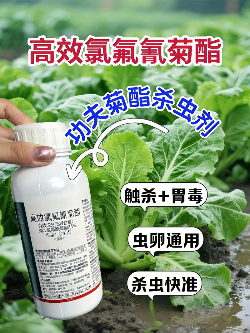 杨浦代生中心:农药对供卵代生妈妈的危害